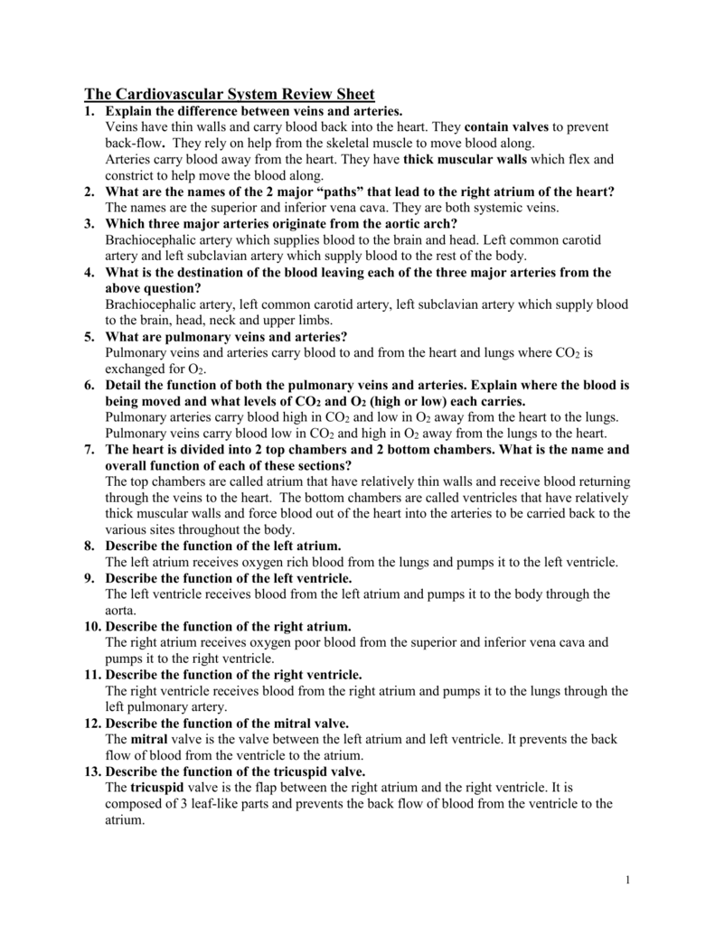 Circulatory System Review Worksheet Worksheets For Kindergarten