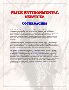 Cockroach brochure - Flick Pest Control