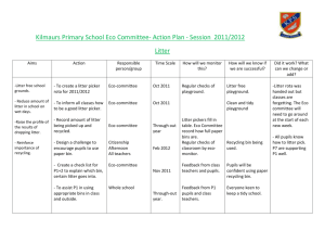 Kilmaurs Primary School Eco Committee- Action Plan