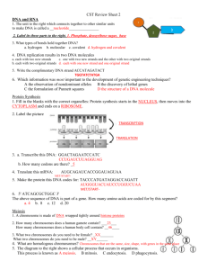 CST Review Sheet 2 DNA and RNA 1. The unit to the right which