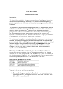 The following 6 genes are induced by the addition of diamide to