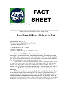 Lyme Disease in Horses -- Reducing the Risk