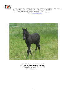- Friesian Horse Association of Great Britain & Ireland