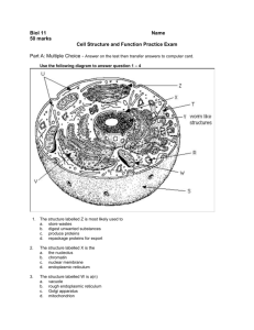 Biol 11