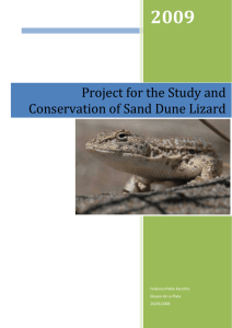 Project for the Study and Conservation of Sand Dune Lizard