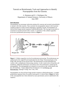 Neuropeptide Identification (Hummon and Rodriguez