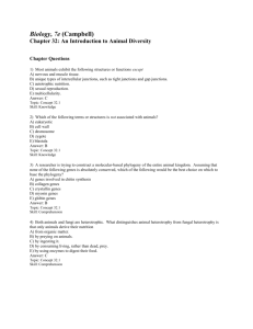 Biology, 7e (Campbell) Chapter 32: An Introduction to Animal