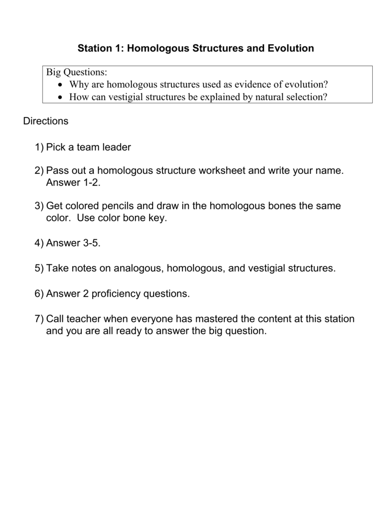 Evidence For Evolution Worksheet Answers