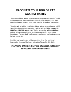 VACCINATE YOUR DOG OR CAT AGAINST RABIES