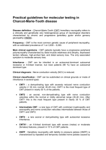 Practical guidelines for molecular testing in Charcot-Marie