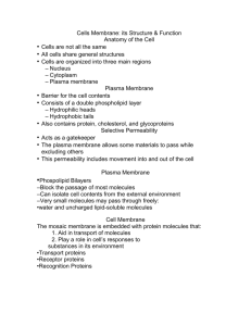 Cells Membrane: its Structure & Function