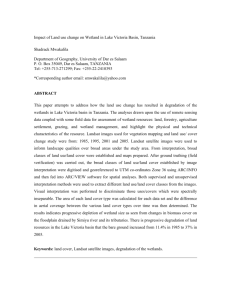 impact of land use change on wetland in lake victoria basin, tanzania