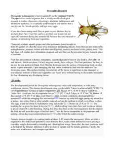 Drosophila Research