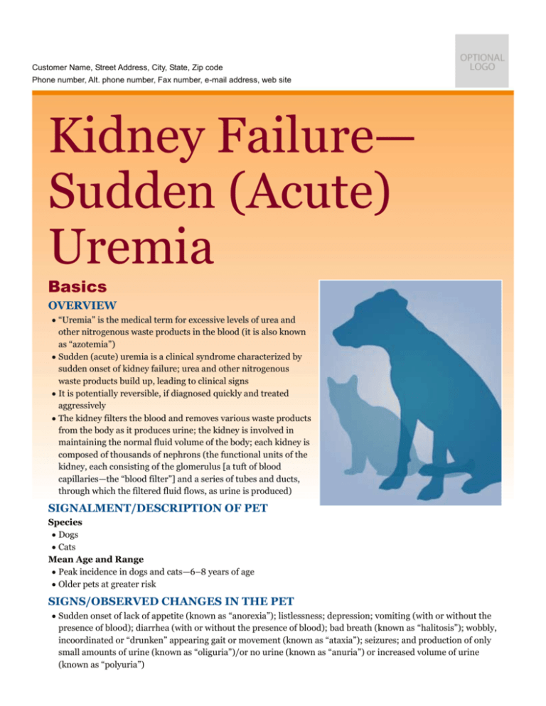 kidney-failure-sudden-acute-uremia