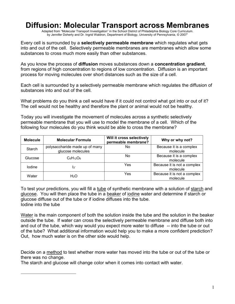 diffusion-molecular-transport-across-membranes