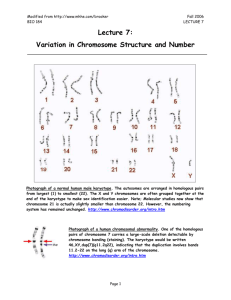 Lecture 7-Variation in Chromosome Structure and Number