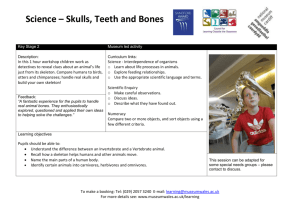 key-stage-2---skulls-teeth-and-bones