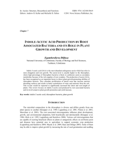 Indole-Acetic Acid Production by Root Associated Bacteria and its