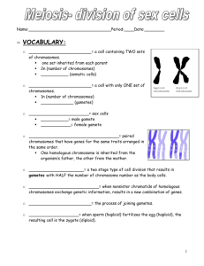 Meiosis Notes Packet