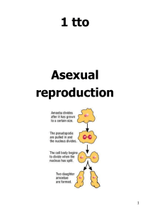 Chapter 5 Asexual reproduction
