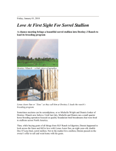 Friday, January 01, 2010 Love At First Sight For Sorrel Stallion A