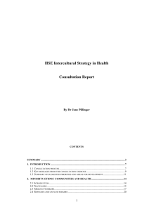 HSE National Consultation Report on