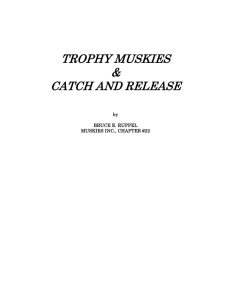 Catch and Release - Muskies Inc. Chapter 22