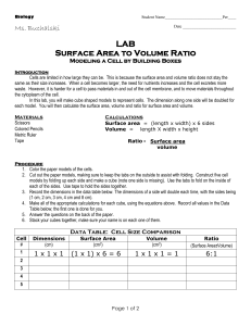 Surface Area to Volume Ratio