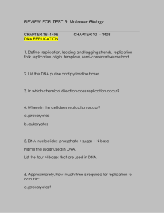 REVIEW FOR TEST 5: Molecular Biology
