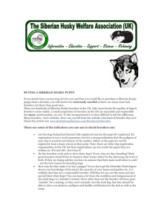 this article - Siberian Husky Welfare Association
