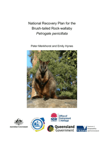 National Recovery Plan for the Brush-tailed Rock