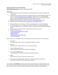 Role Playing Assignment Document