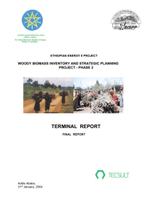 terminal report - World Agroforestry Centre