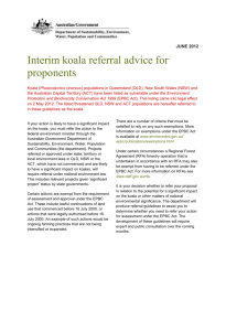 Interim koala referral advice for proponents