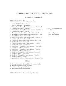 festival of the andalusian – 2003