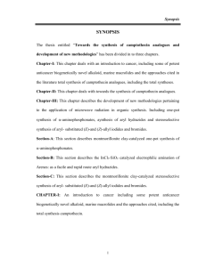 Present work: Synthesis of Camptothecin analogues
