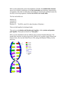 Chapter 1 Optional DNA project