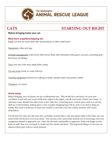 Starting Out Right – Cats