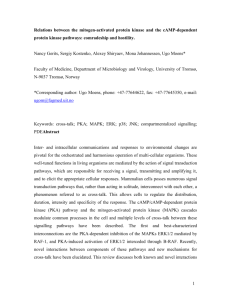 Relations between the mitogen-activated protein kinase and the