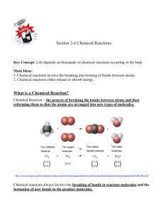 Section 2-4 “Chemical Reactions and Enzymes”