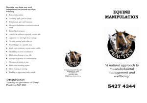 Equine Manipulation brochure