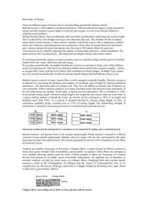 Notes on Muscle Tissue