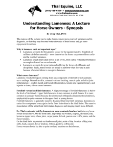 a Synopsis of a “Understanding Lameness