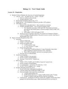 Biology 1A – Test 3 Study Guide