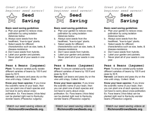 Super Easy Seed Saving - Richmond Grows Seed Lending Library