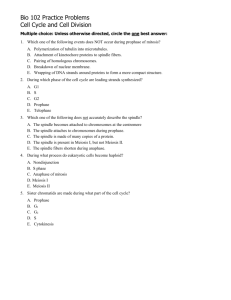 Bio 102 Practice Problems