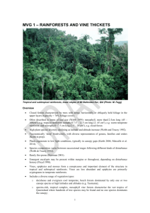 Rainforests and Vine Thickets - Department of the Environment