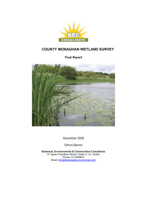 Final Report - Monaghan County Council