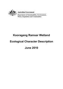 Kooragang Ramsar Wetland Ecological Character Description (DOC