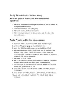 Purify Protein Invitro Kinase Assay